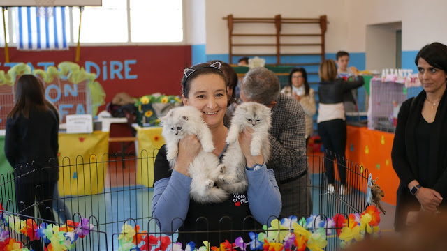 Evento-gatti-di-razza-Capoterra 2019-MIAbau-Toelettatura