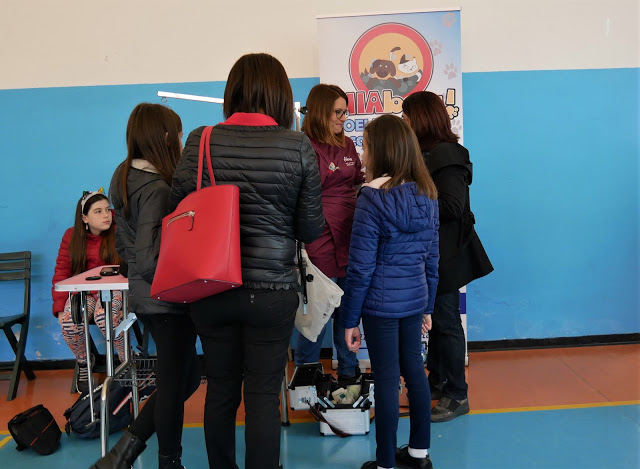 Evento-gatti-di-razza-Capoterra 2019-MIAbau-Toelettatura