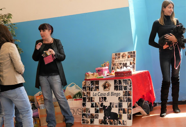 Evento-gatti-di-razza-Capoterra 2019-MIAbau-Toelettatura