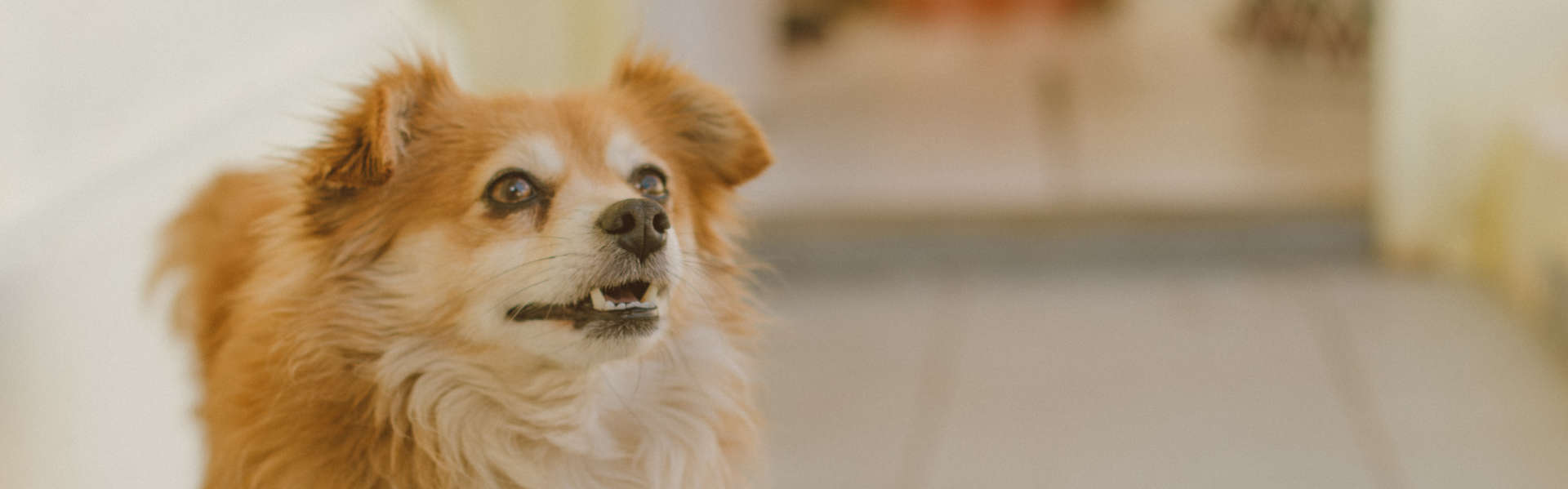 privacy-policy-miabau